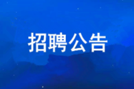 PG电子游戏2026年度公开招聘布告