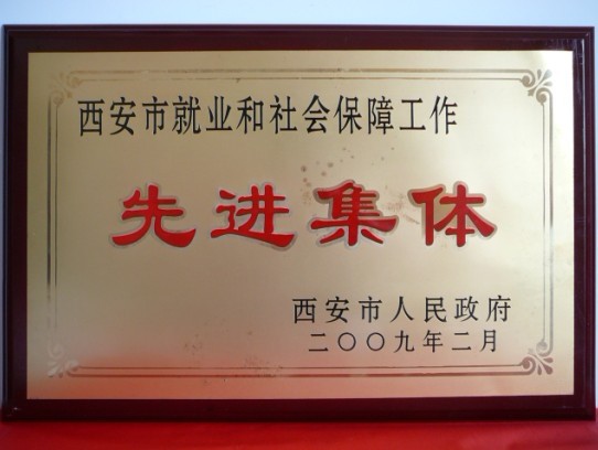 2009年2月，被西安市当驹炖为西安市就业和社会保险工作先进集体